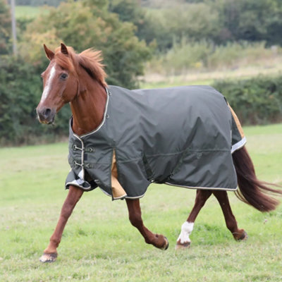 Highlander Plus Standard-Neck 50g Horse Turnout Rug Green (5 9