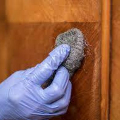 Hilka Multi Grade Steel Wool from a Steel Sheep
