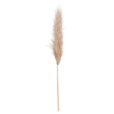 Hill Interiors Artificial Single Stem Pampas Gr Butter (One Size)