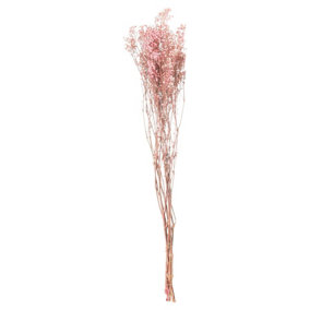 Hill Interiors Babys Breath Dried Plant Pale Pink (One Size)