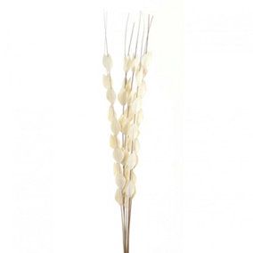 Hill Interiors Bouquet Of Dried Thlaspi Arvense Artificial Flower White (One Size)