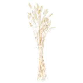 Hill Interiors Bunny Tail Dried Flower (Pack of 60) Grey (60cm)
