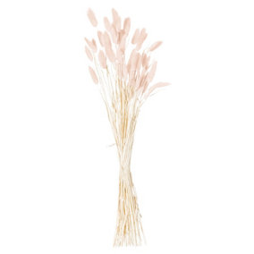 Hill Interiors Bunny Tail Dried Flower (Pack of 60) Pale Pink (60cm)