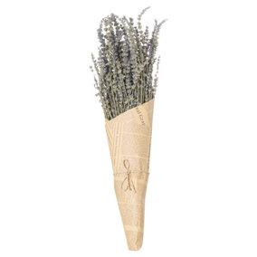 Hill Interiors Lavender Dried Plant Lavender (One Size)