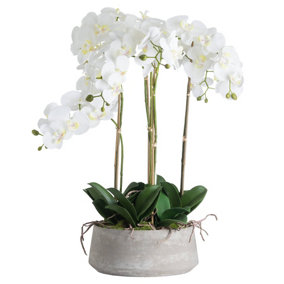 Hill Interiors Orchid In Stone Pot White (One Size)