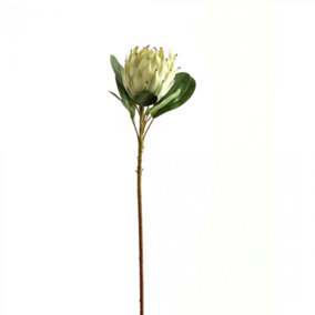 Hill Interiors Protea Protea Artificial Flower White (One Size)