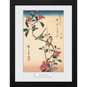 Hiroshige Japanese White eye 30 x 40cm Framed Collector Print