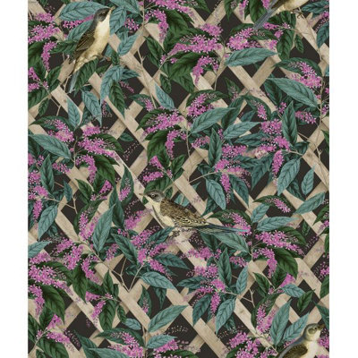Holden Cassidy Wallpaper Charcoal/Pink 90171