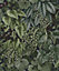 Holden Decor Living Wall Navy Leaves and Foliage Smooth Wallpaper