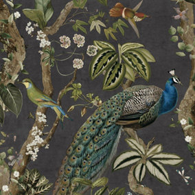Holden Decor Peacock Woods Charcoal Wallpaper Floral Naturistic Feature Wall