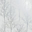 Holden Decor Rhea Trees Grey / Silver Effect Trees & Foliage Smooth Wallpaper