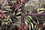 Holden Decor Tropical Window Plum Quirky Animals Smooth Wallpaper