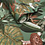 Holden Wonderland Jungle Floral Birds Exotic Sage Green Smooth Wallpaper
