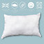 Hollowfibre Pillow Pair with Polycotton Cover Thick Bounce Back Pillows