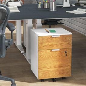 HOMCOM 2 Drawer Filing Cabinet with Adjustable Hanging Bars for A4 and Letter