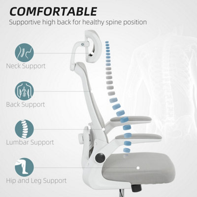 HOMCOM Executive Mesh Office Chair with Headrest, Lumbar Support, Grey