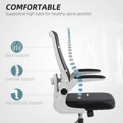 HOMCOM Mesh Desk Chair with Tilt Function, Lumbar Support, Black