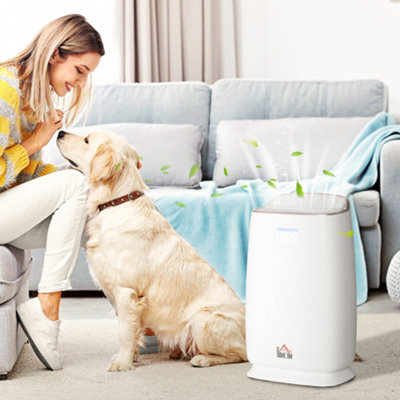 Quiet hepa air purifier outlet