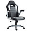 HOMCOM Racing Office Chair PU Leather Computer Desk Gaming Style with Wheels, Flip-Up Armrest, Grey