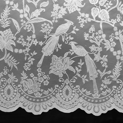 Home Curtains Snowden Botanical Net 300w x 229d CM Cut Lace Panel White