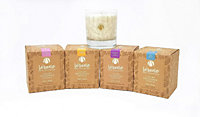 Home Fragrance Mixed Set of 4 Gift Boxed Glass Scented Soy Wax Candles 200g