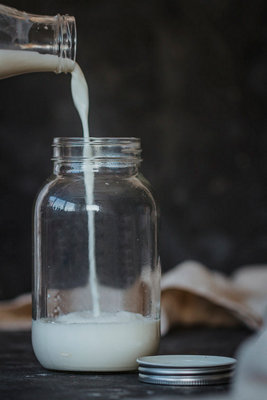 Home Made Complete Kefir Making Kit for Fresh, Probiotic-Rich Homemade ...
