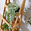 Home Source Bamboo 3 Tier Garden Plant Stand Ladder Tray Unit