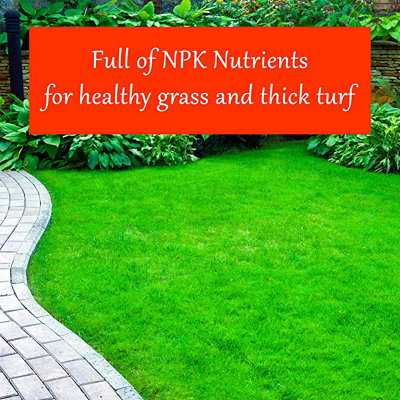 Homefront Grass Greening Granules Lawn Fertiliser - Strengthens, Greens and Creates Healthier Grass 5kg