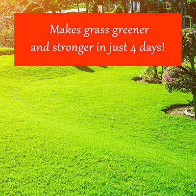 Homefront Grass Greening Granules Lawn Fertiliser - Strengthens, Greens and Creates Healthier Grass 7.5kg