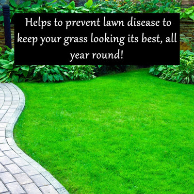 Homefront Liquid Iron Sulphate Greens Grass Hardens Turf and Helps to Prevent Lawn Disease Easy to Use Formula 10L