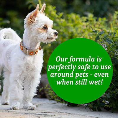 Homefront Organic Patio Cleaner 10L - Pet Friendly Formula & Free From Bleach and Harsh Chemicals 10L