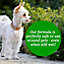 Homefront Organic Patio Cleaner 5L - Pet Friendly Formula & Free From Bleach and Harsh Chemicals