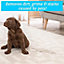 Homefront Pet Carpet Shampoo - Deeply Cleans to Remove Dirt, Nasty Odours and Stains, Breaks Down Urine Salts and Pet Deposits 5L