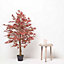 Homescapes Acer Tree in Pot, 120 cm Tall