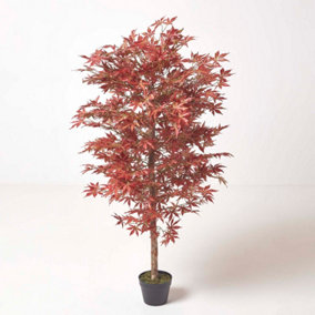 Homescapes Acer Tree in Pot, 150 cm Tall