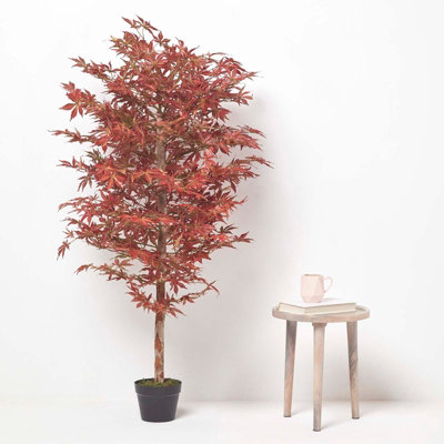 Homescapes Acer Tree in Pot, 150 cm Tall