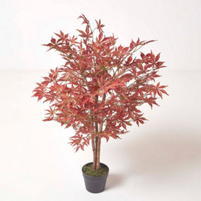 Homescapes Acer Tree in Pot, 90 cm Tall