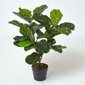 Homescapes Artificial Fiddle Leaf Fig Tree in Pot, 70 cm Tall
