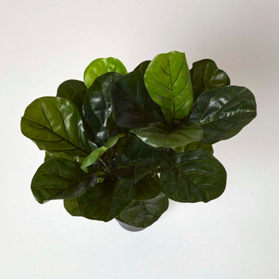 Homescapes Artificial Fiddle Leaf Fig Tree in Pot, 70 cm Tall