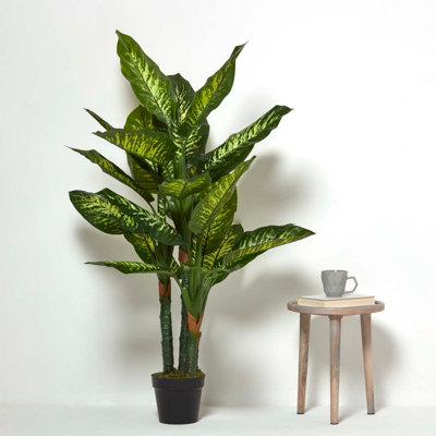 Homescapes Artificial Green Handcrafted Dieffenbachia Dumb Cane Plant in  Pot, 150 cm