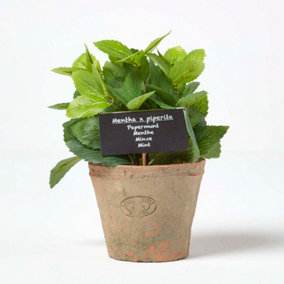 Homescapes Artificial Mint Plant in Decorative Pot