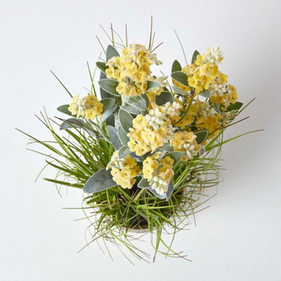 Homescapes Artificial Yellow Lavender Plant in Decorative Metallic Ceramic Pot, 66 cm Tall