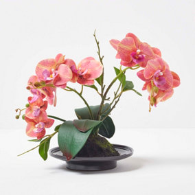 Homescapes Coral Orchid 32 cm Phalaenopsis in Ceramic Pot