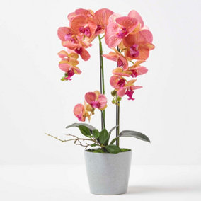 Homescapes Coral Orchid 58 cm Phalaenopsis in Ceramic Pot