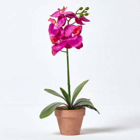 Homescapes Dark Pink Phalaenopsis Orchid with Brown Pot