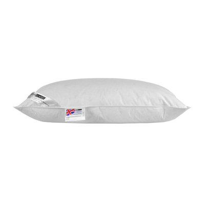 Homescapes Duck Feather Music Pillow With Speaker