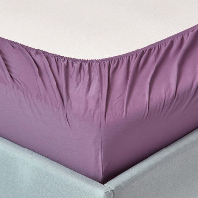 Homescapes Grape Egyptian Cotton Deep Fitted Sheet 200 TC, Single