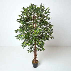Homescapes Green Artificial Ficus Tree with Twisted Real Wood Trunk, 6 Ft