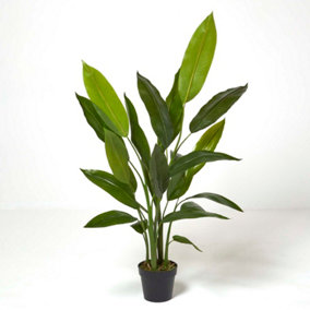 Homescapes Heliconia Plant in Pot, 140 cm Tall