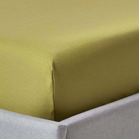Homescapes Olive Green Deep Fitted Sheet Egyptian Cotton 1000 TC, Double